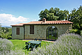 Podere il Pino Appartementen